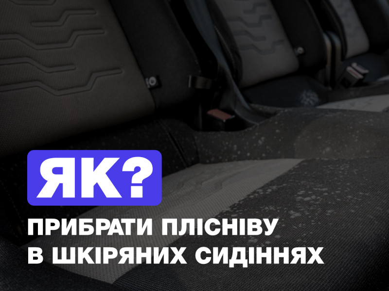 Как убрать плесень с кожаной обивки салона авто?