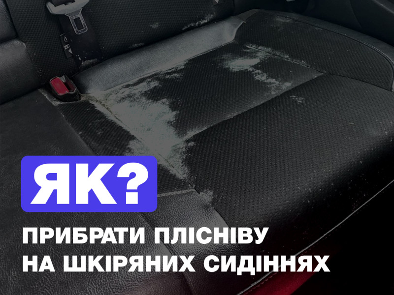 Чем убрать плесень которая въелась в кожаные сидения?