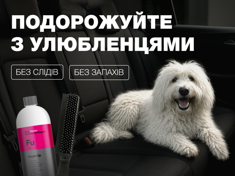 Забудьте о шерсти и запахе: must-have аксессуары для владельцев животных